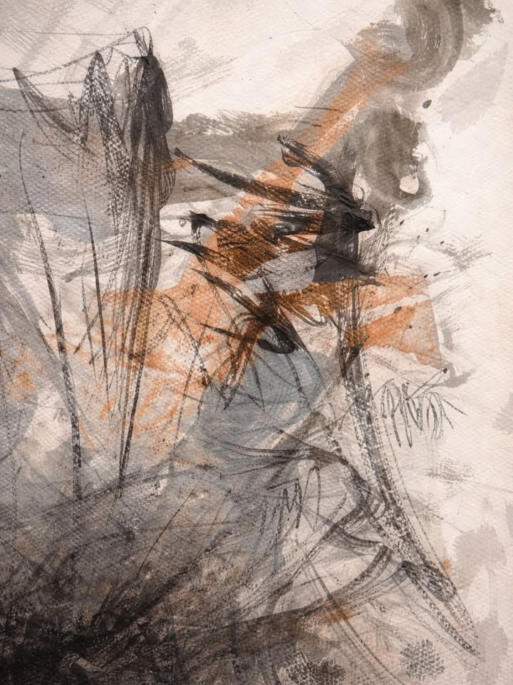 639770307 17901458802390459 7577401378752368270 n